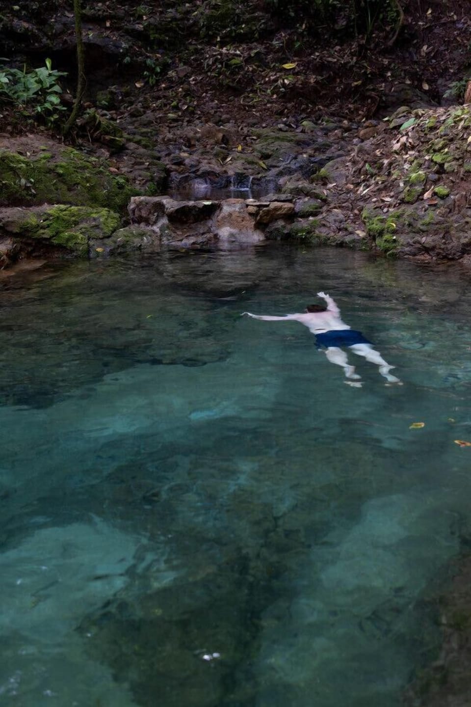 Take a refreshing dip in the rainforest!
