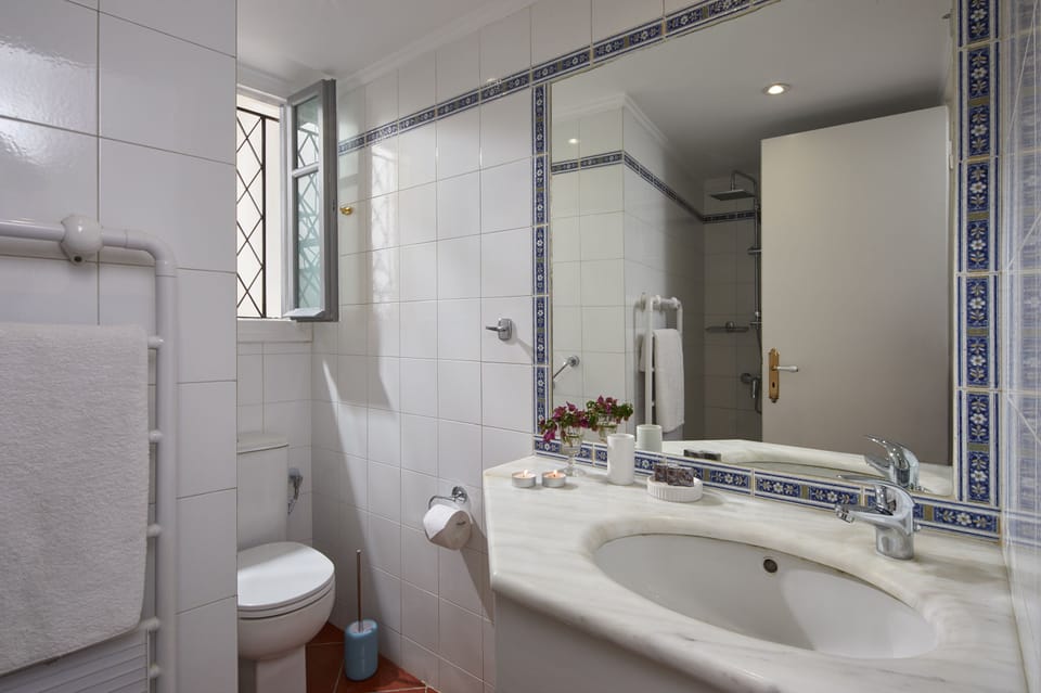 The bijou shower room.