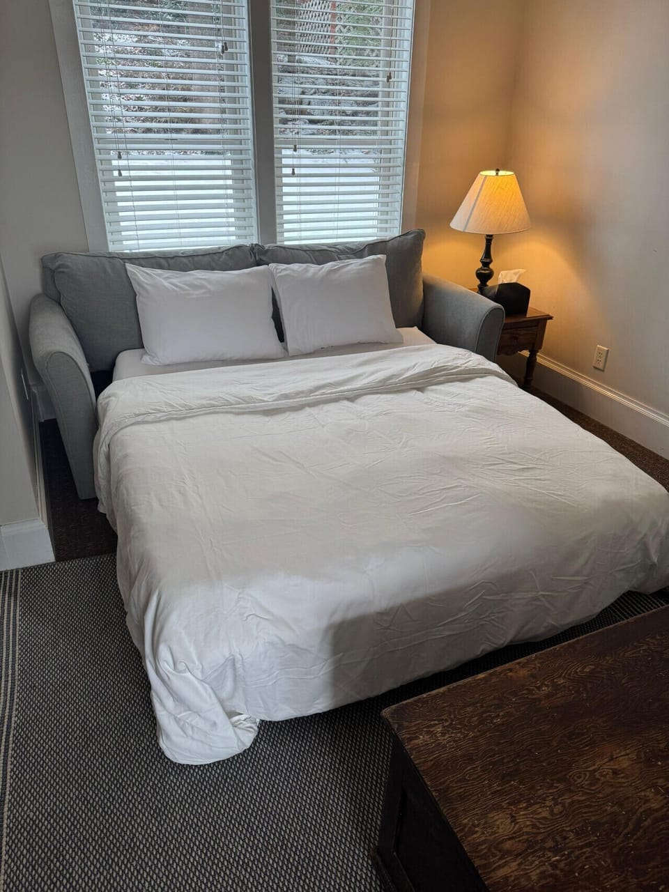 Queen Pullout Sleeper (68`L x 60`W)