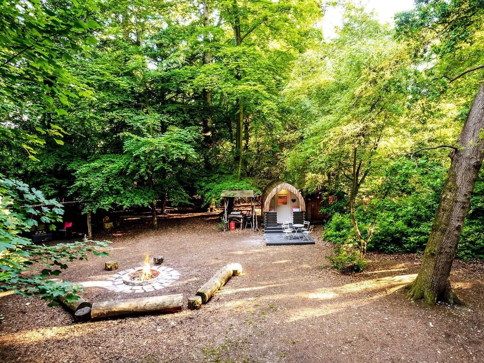 Setting | Daisy - Hollington Park Glamping, Woolton Hill, nr Newbury