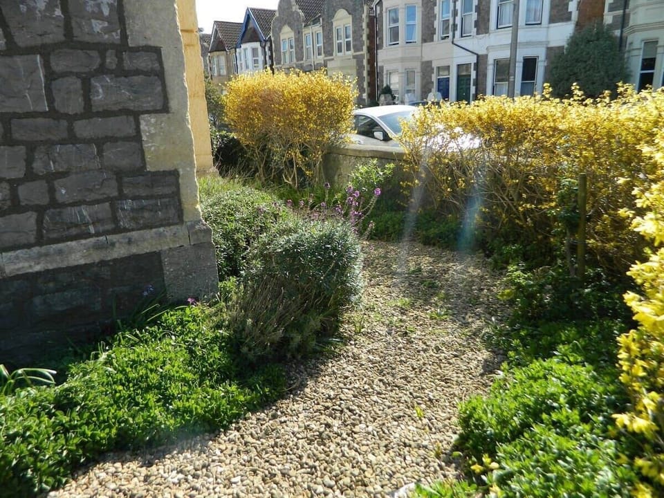 Front garden area