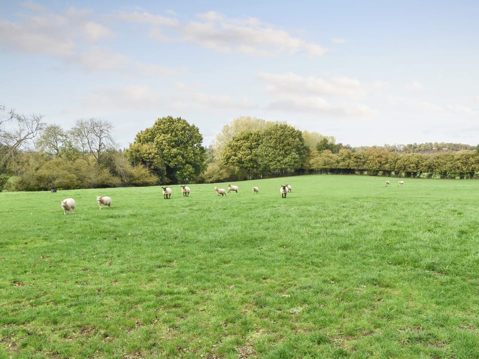 Setting | Farmhouse Garden Shepherds Hut, Thursley