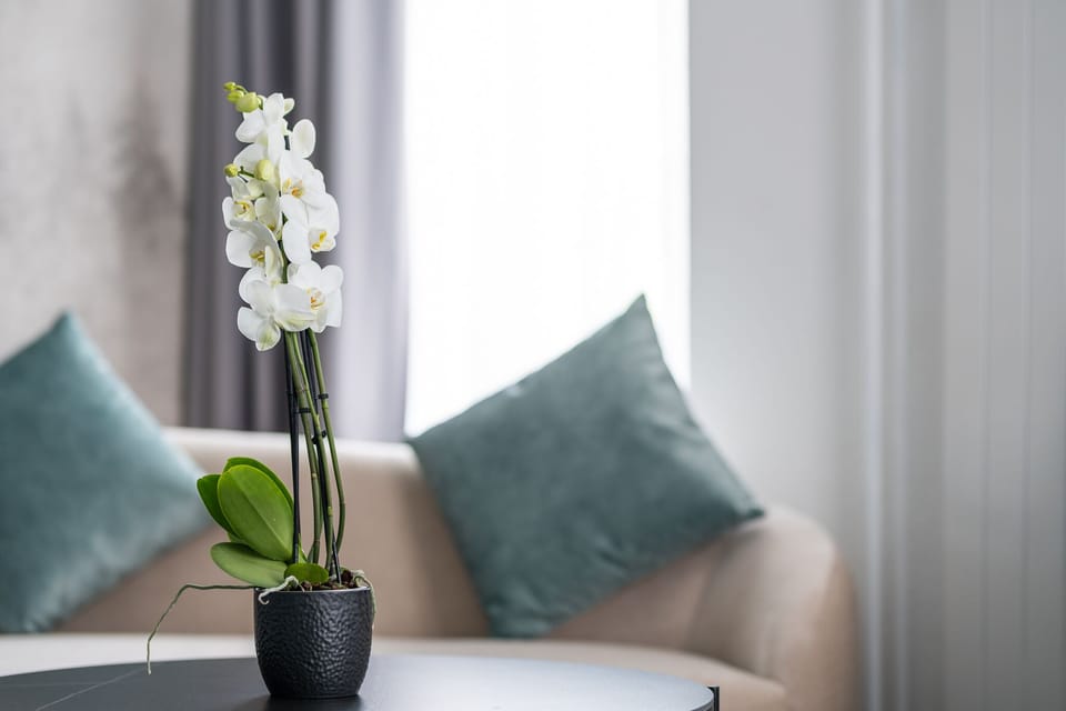 Suite, River View | Down comforters, free WiFi, bed sheets