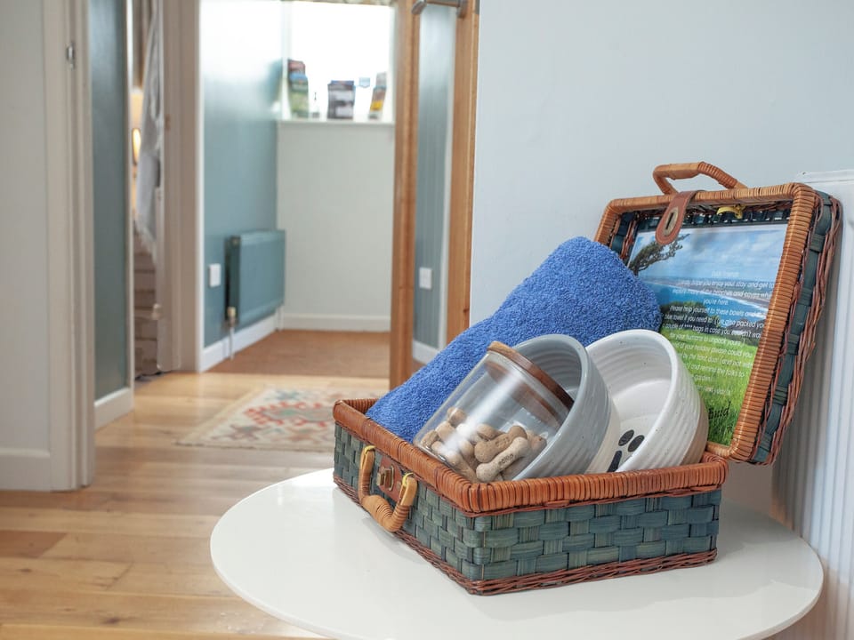 Dog friendly | Semybadazee, Widemouth Bay