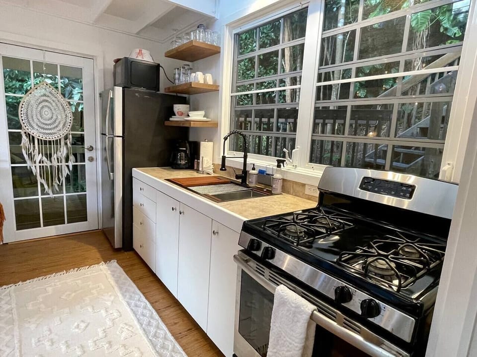The entry door takes you straight into the compact kitchen
