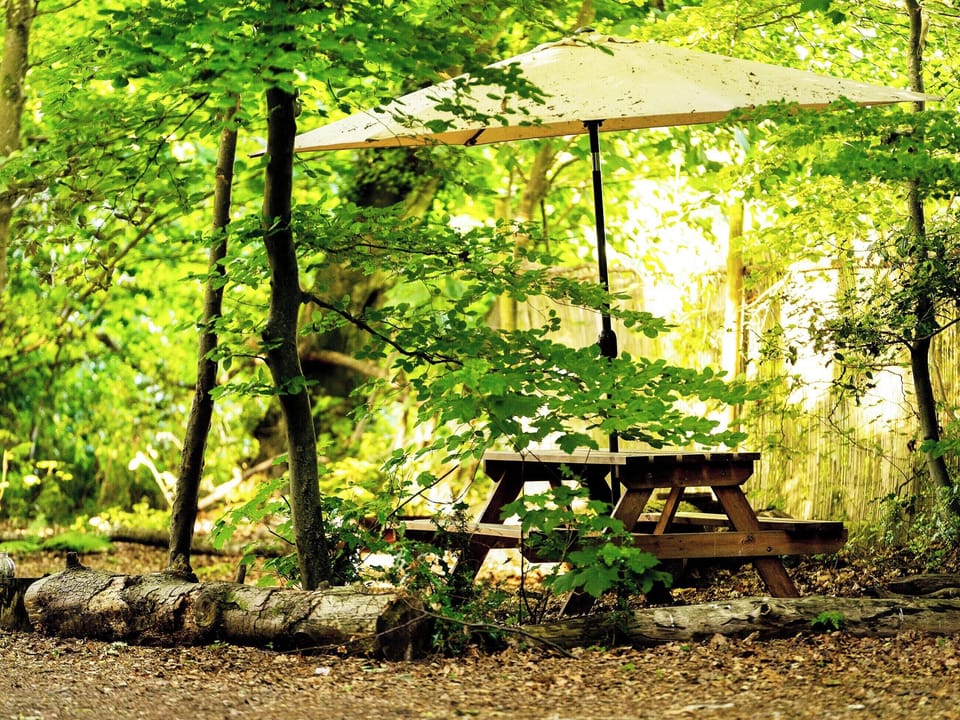 Outdoor eating area | Moroccan - Hollington Park Glamping, Woolton Hill, nr Newbury