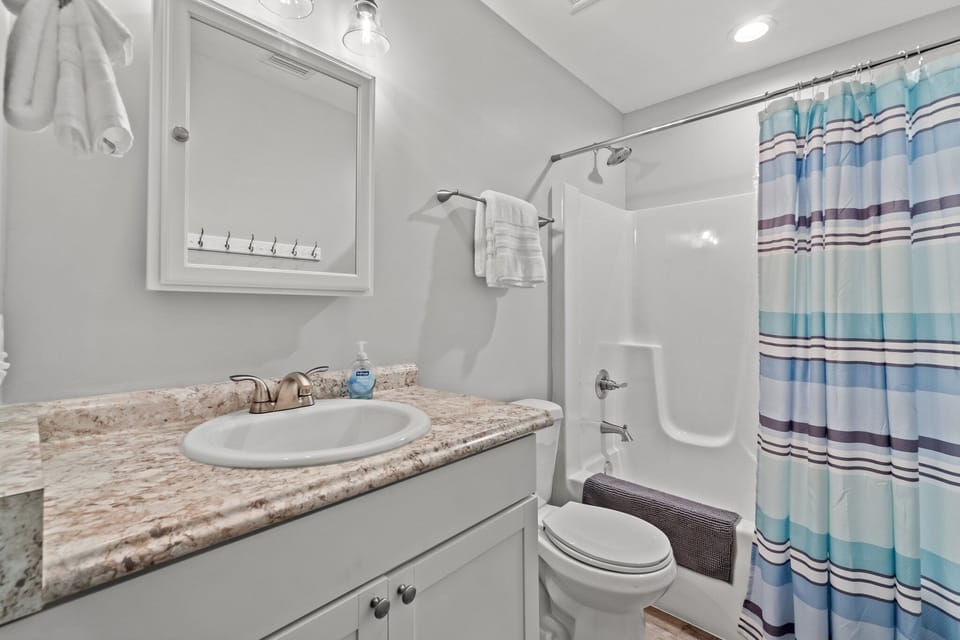 Guest bathroom