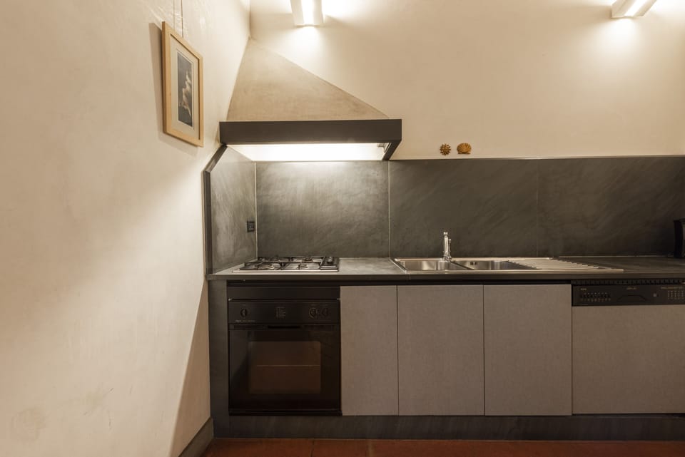 Design Apartment | Private kitchen | Fridge, microwave, oven, stovetop
