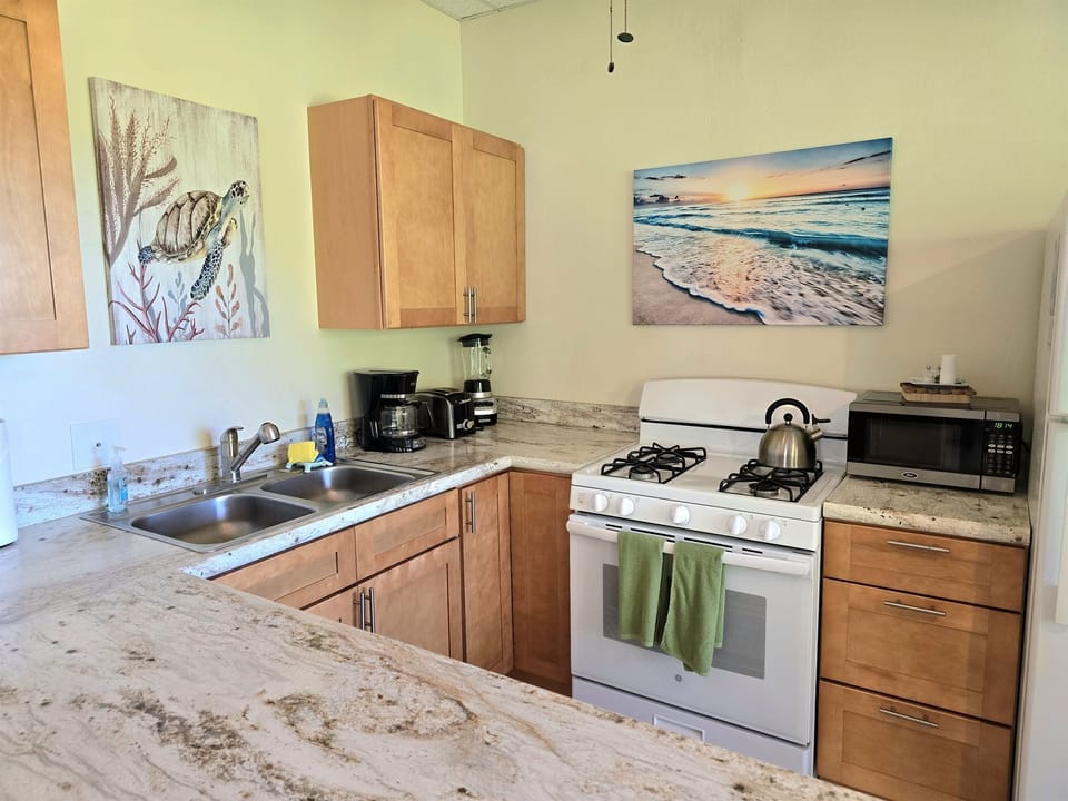 Open kitchen with lots of natural light