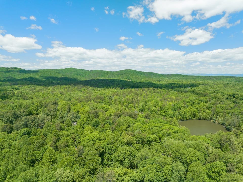 The house is tucked in just below these trees. The lake is 5 mins away!