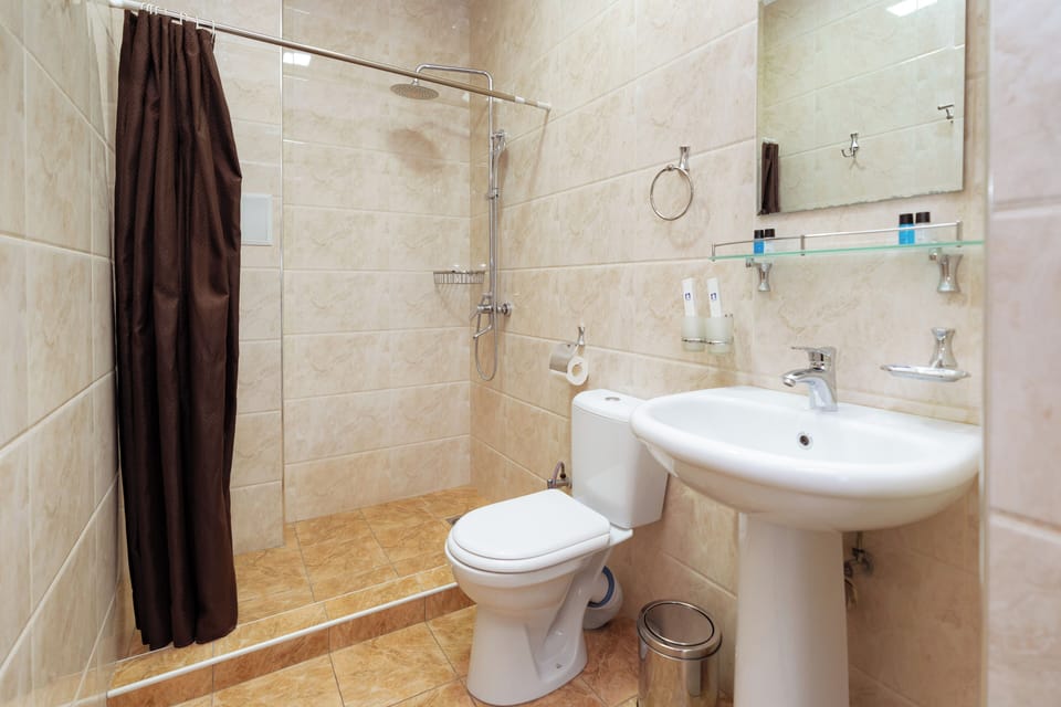 Deluxe Twin Room | Bathroom | Shower, free toiletries, hair dryer, slippers