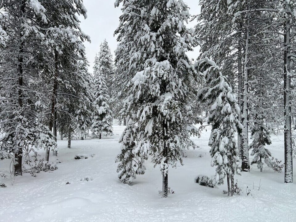Winter is coming