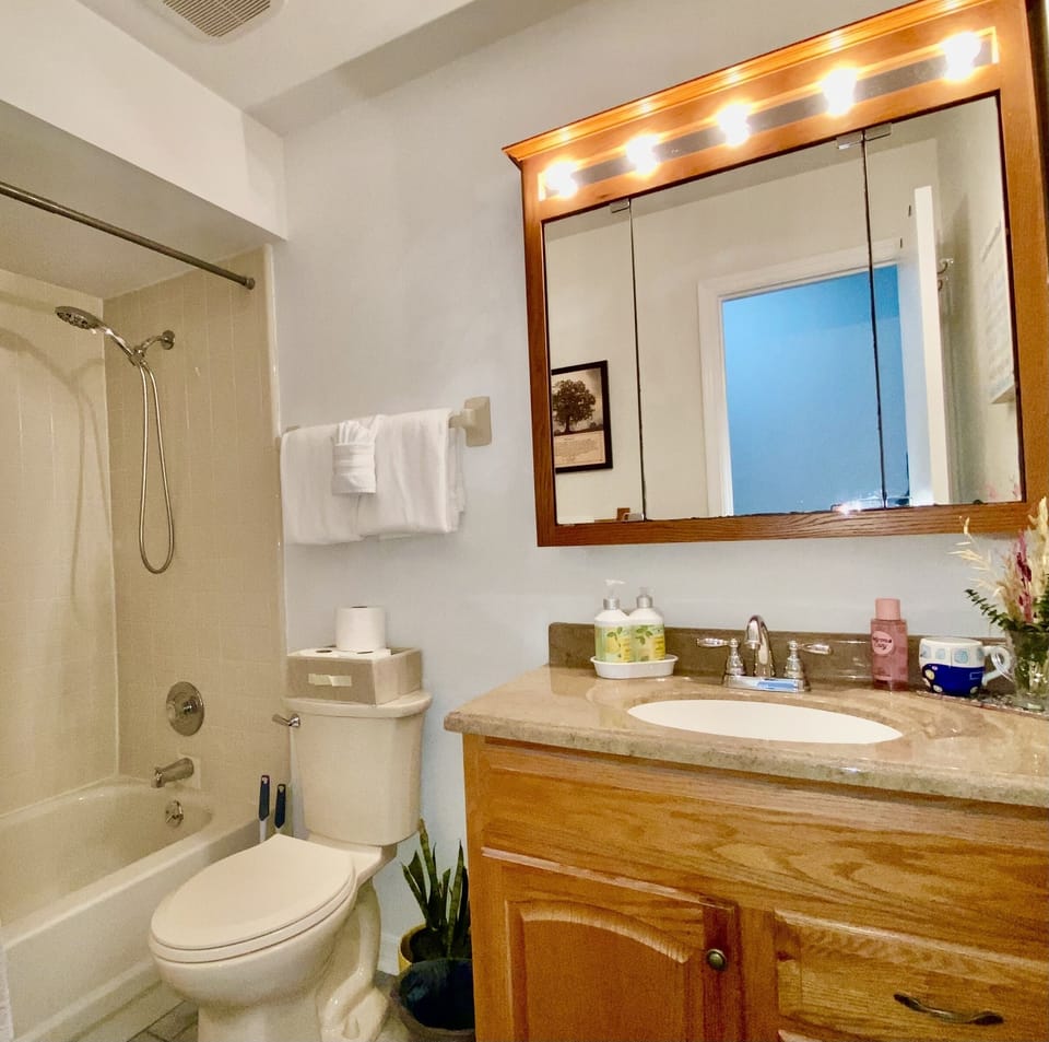 Guest’s bathroom: pull the handle & turn for water temperature. Hairdryer avail.