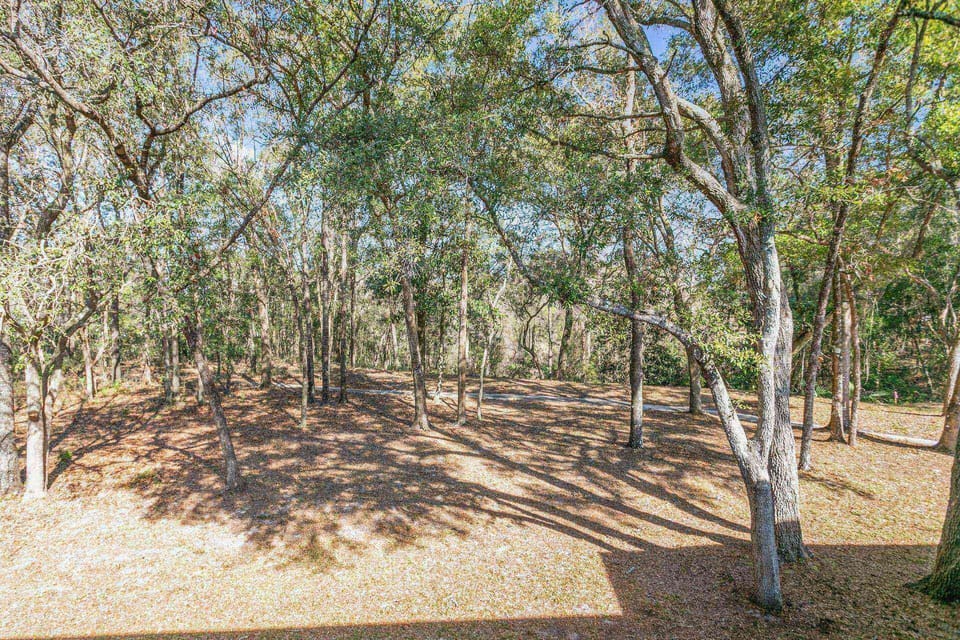 Take a relaxing walk around the grounds of The Ravines