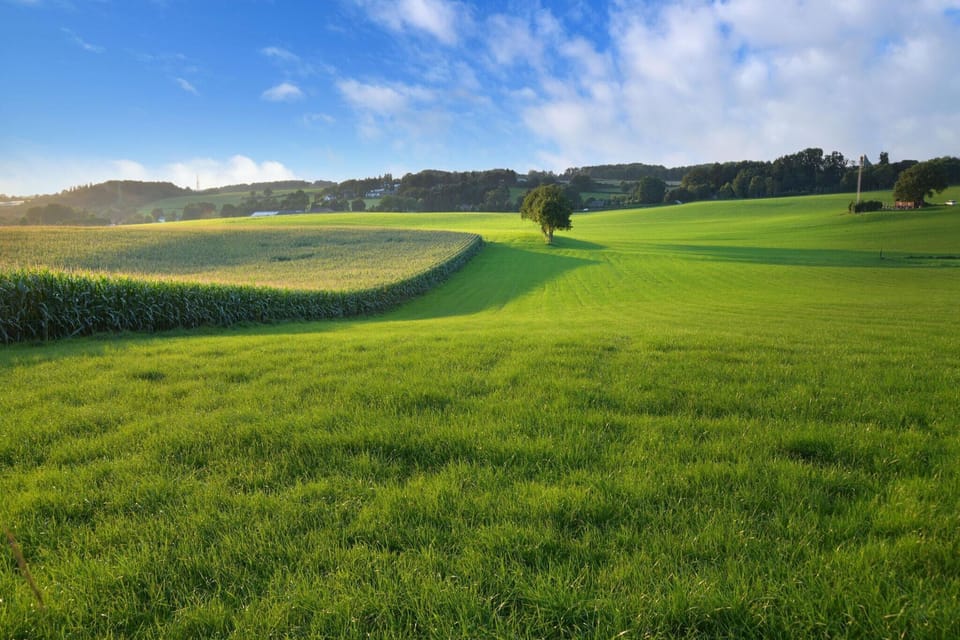 Surroundings [summer] (1-5 km)