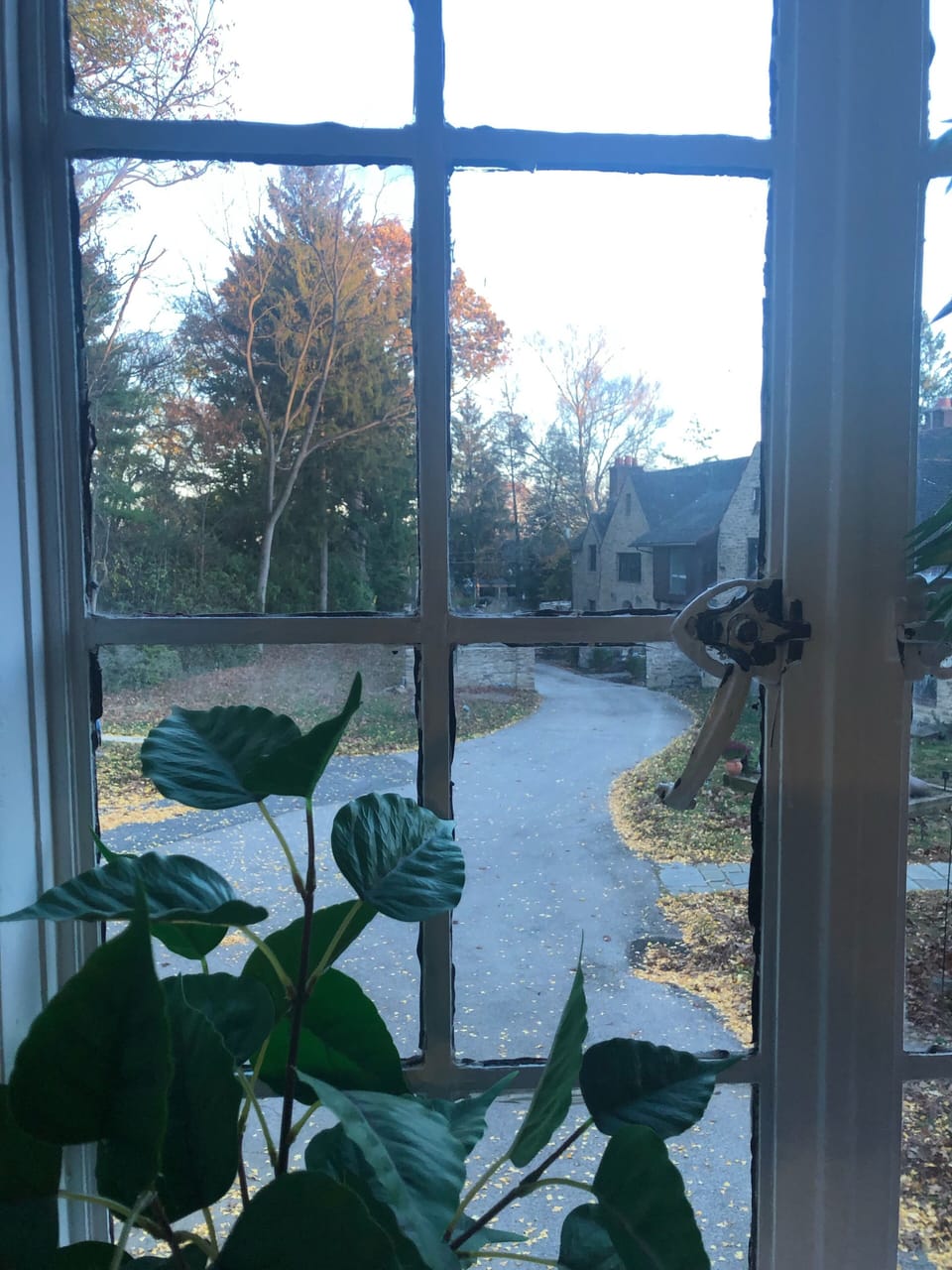 View from property