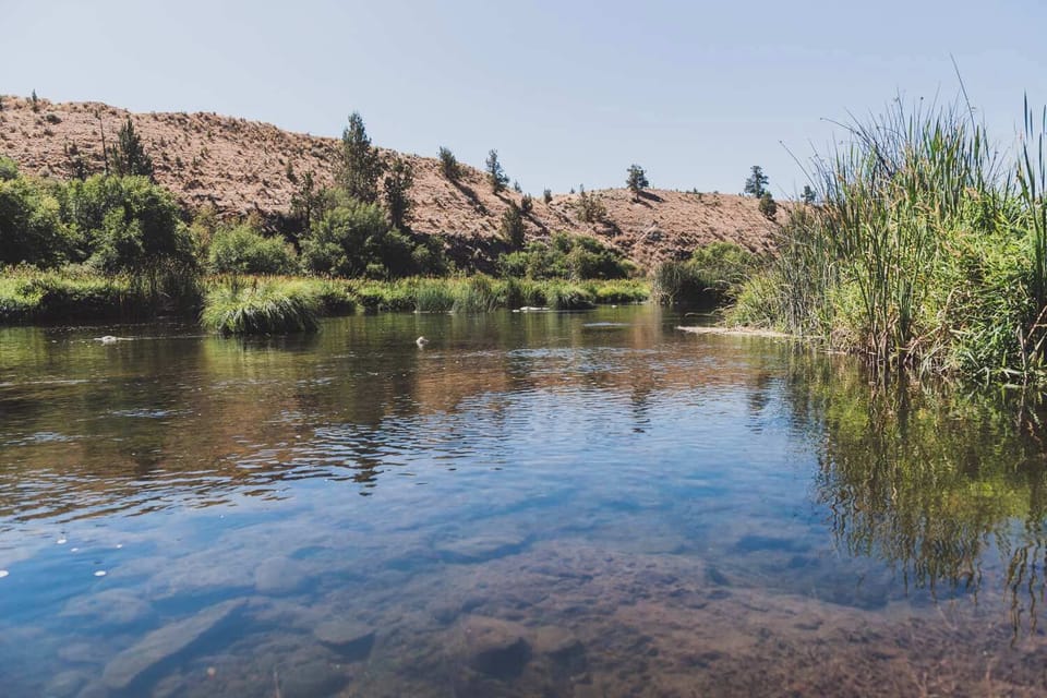 Be sure to check out Borden Beck Nature Reserve for hiking trails, swimming, fishing, and more!
