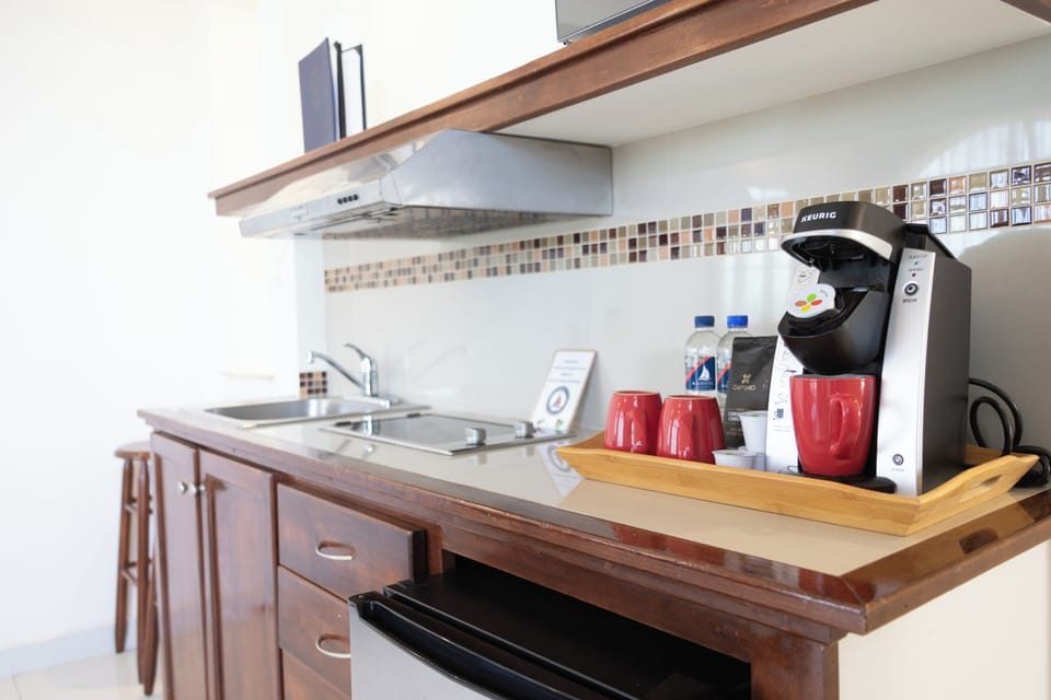 Deluxe Suite, 1 King Bed | Premium bedding, down comforters, Select Comfort beds, in-room safe