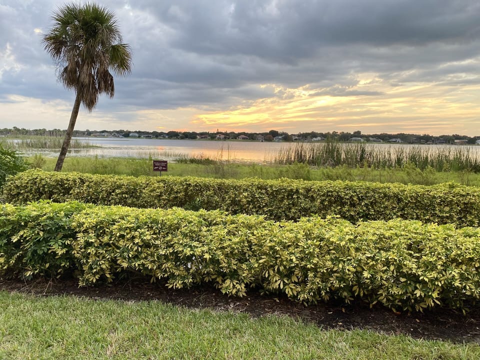 gorgeous spacious grounds with walking trails and lake views