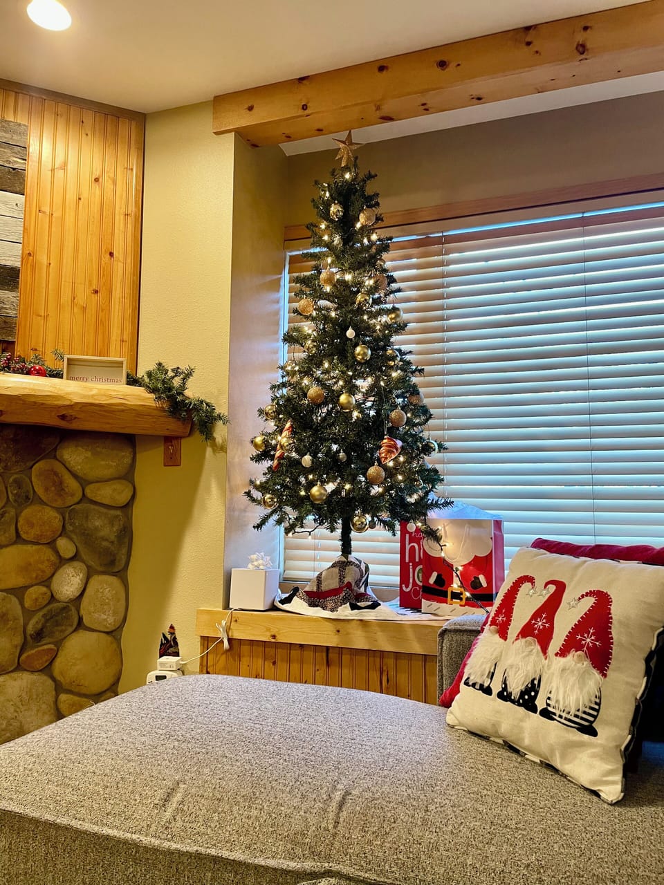 Updated Living Room and Sofa Bed