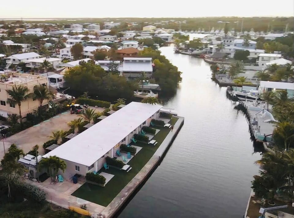 Explore Key Largo Wonders | Dive into Endless Adventures, Uncover Top Attractions, Fishing Paradises, & Vibrant Marine Life