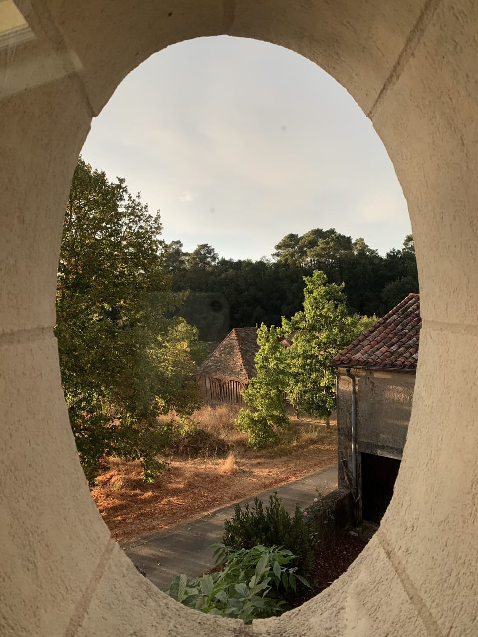 View from Picture Window