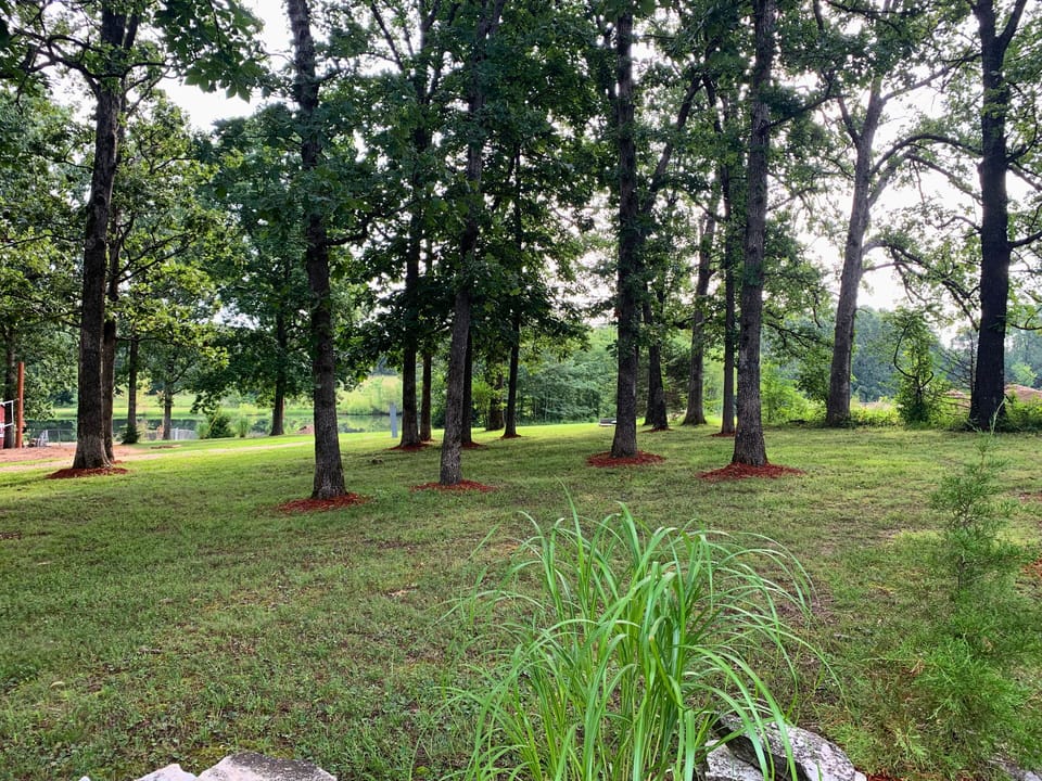 Front side yard 