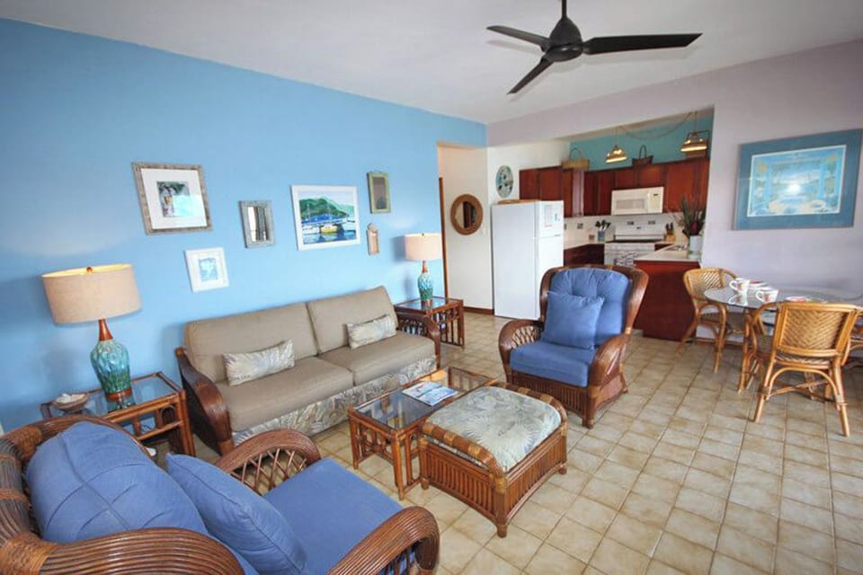 Living room into the kitchen