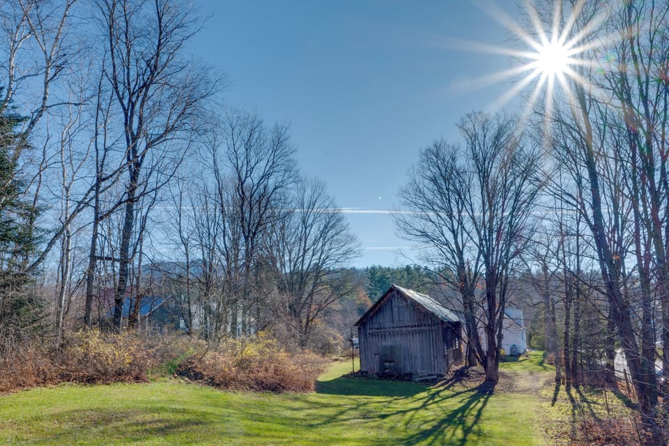 Wooded Backyard
