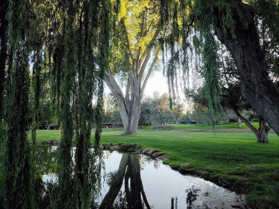 Canyon Mesa Golf Course is beautiful!