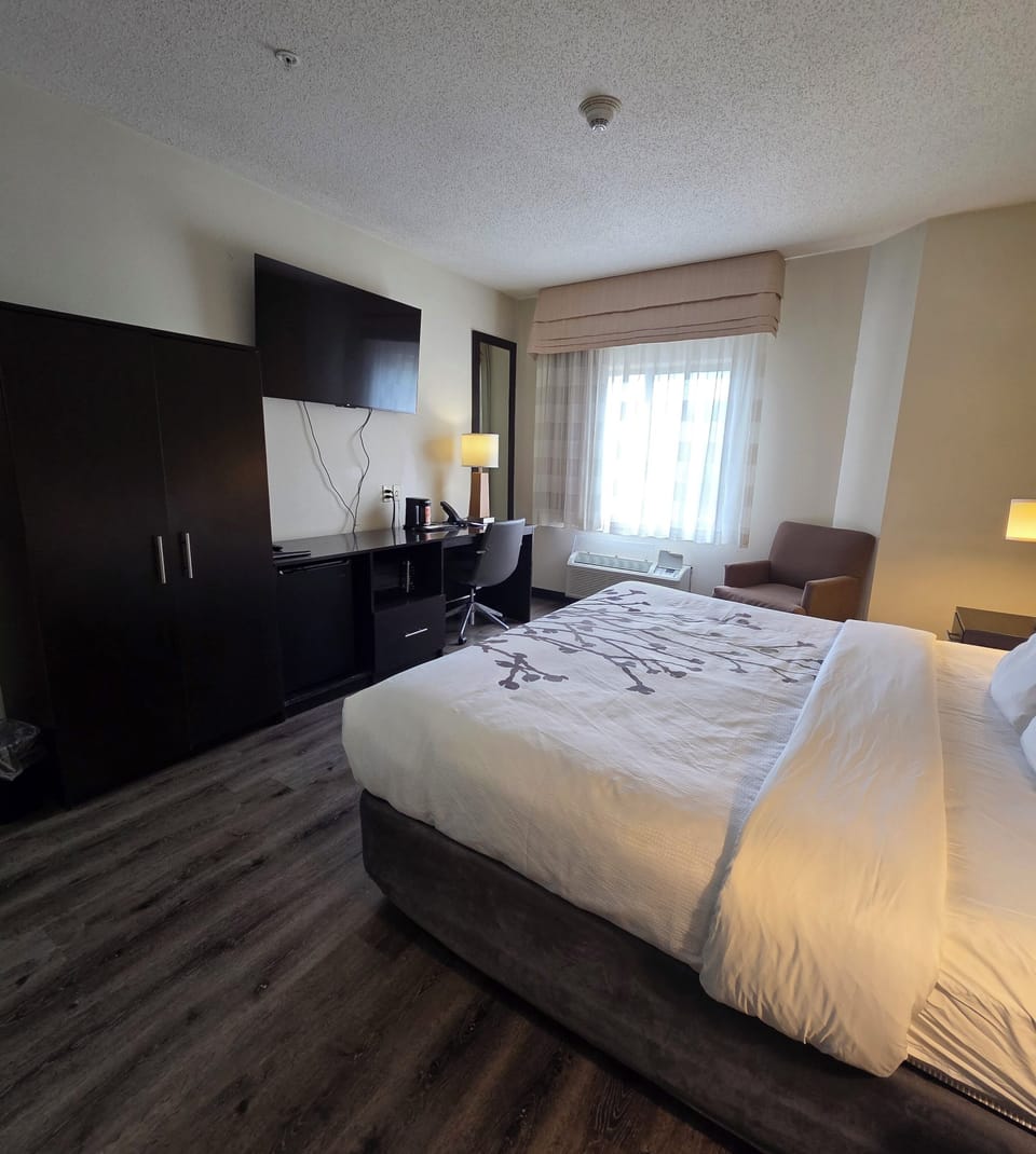 Standard Single Room, 1 King Bed | Premium bedding, desk, iron/ironing board, free WiFi