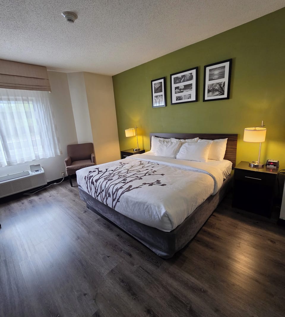Standard Single Room, 1 King Bed | Premium bedding, desk, iron/ironing board, free WiFi