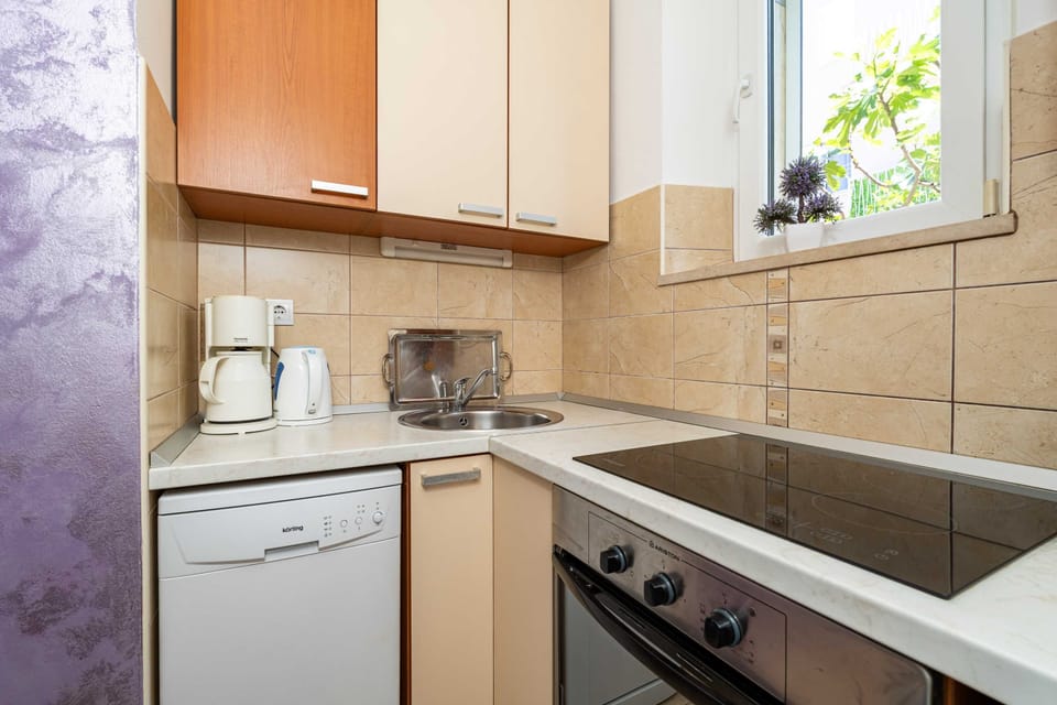 Studio (Studio with Terrace) | Private kitchen | Fridge