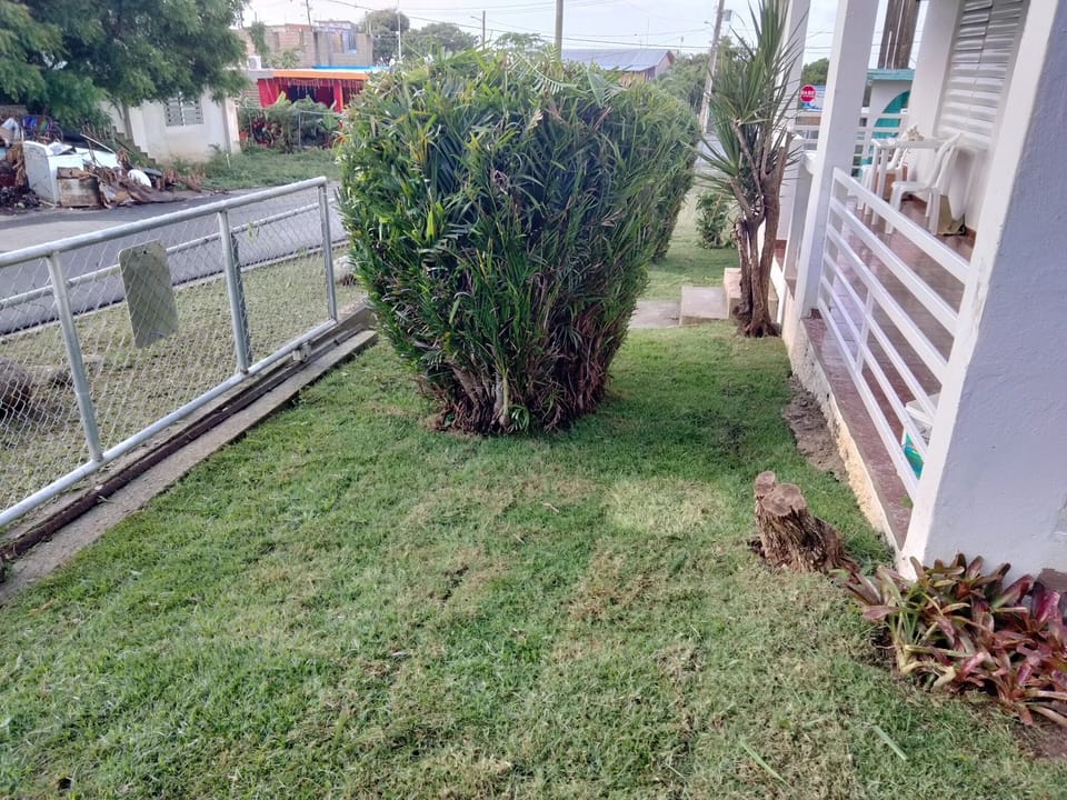 Property grounds