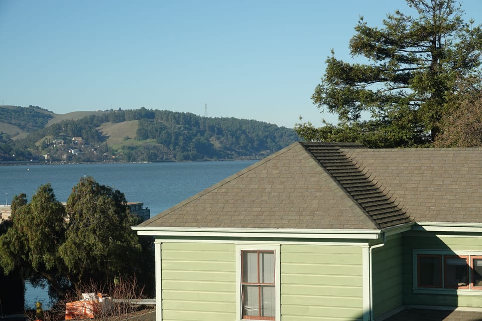 Wild peony | View from room