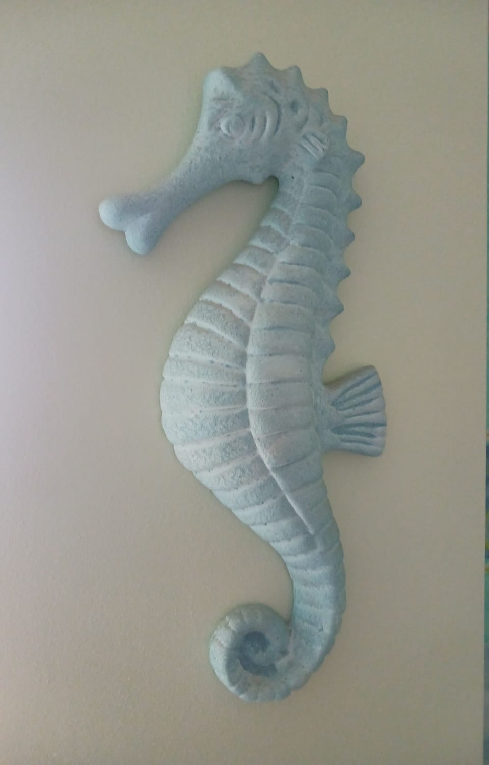 Cavalo Marinho / Decoração 