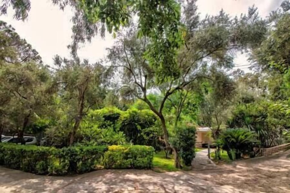 viale di ingresso al parco privato dove è la villa riprodotta in foto