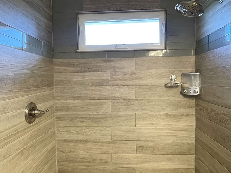 Primary Bath Walk-in Shower