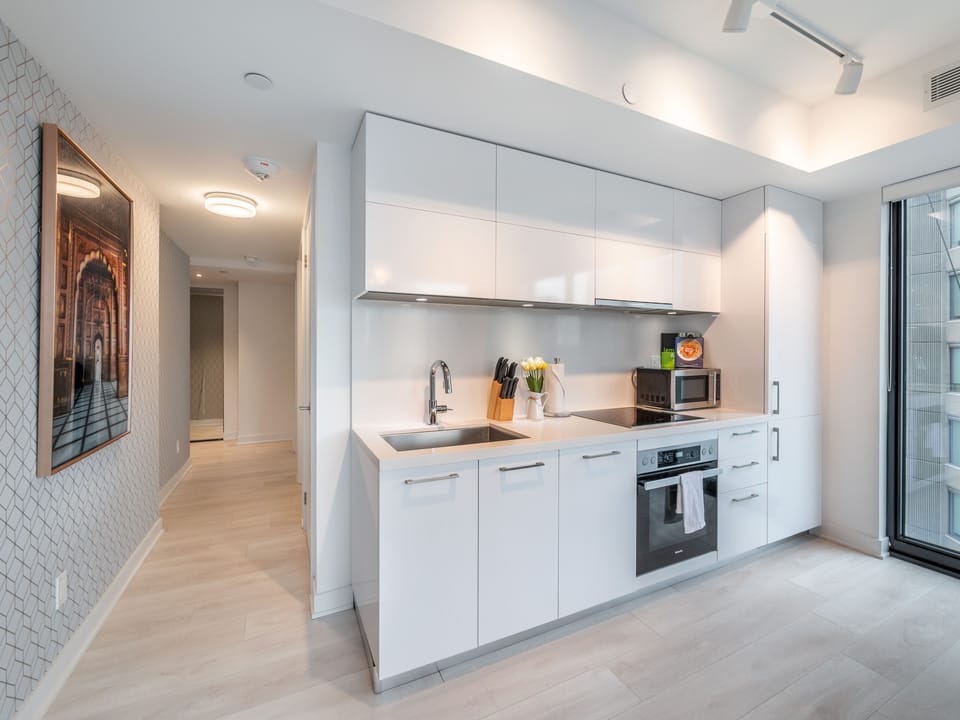Premium Apartment | Private kitchen | Fridge, microwave, oven, stovetop