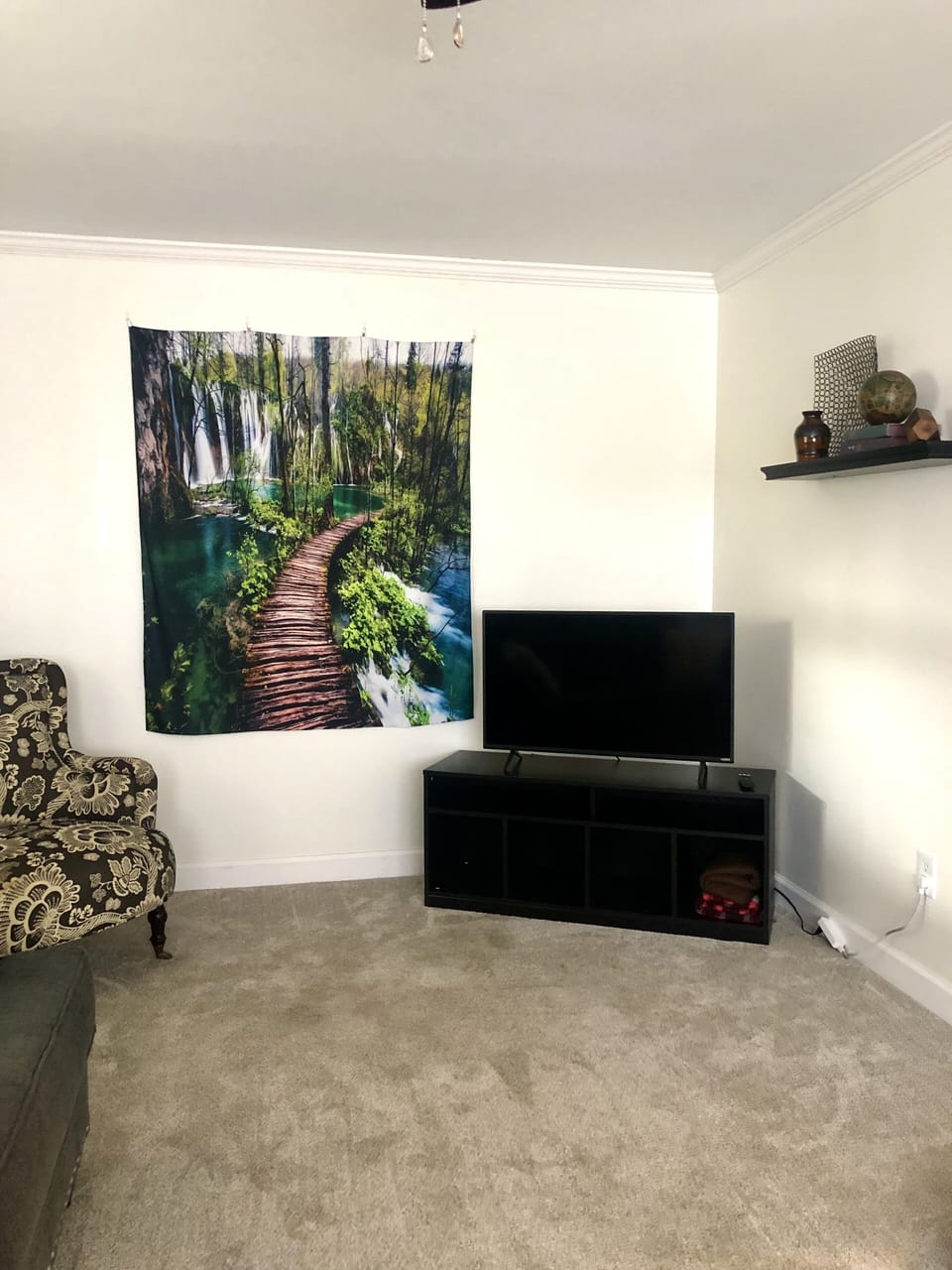 Living Room with TV
