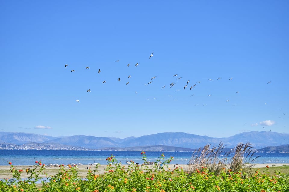 Kalamaki Beach