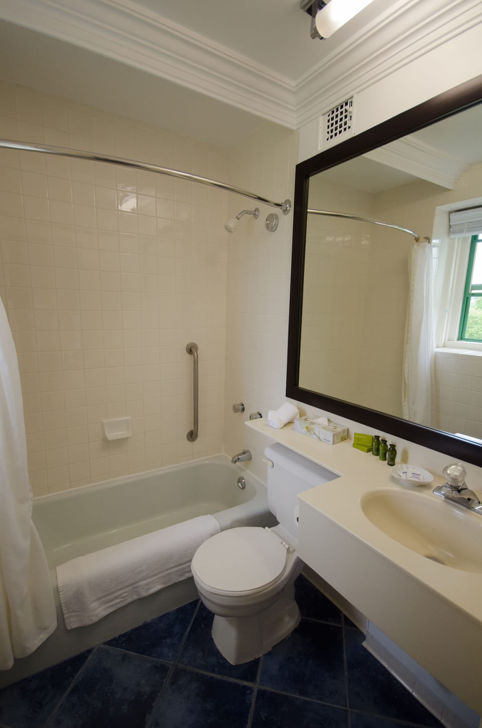 Combined shower/tub, free toiletries, hair dryer, towels