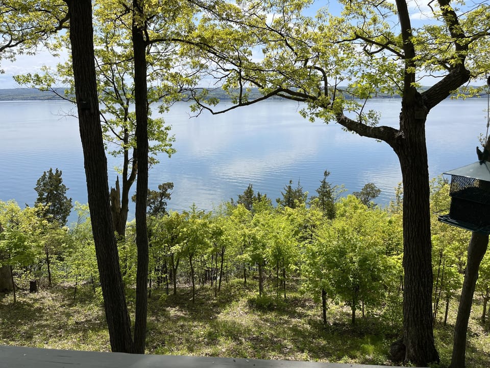 View from property