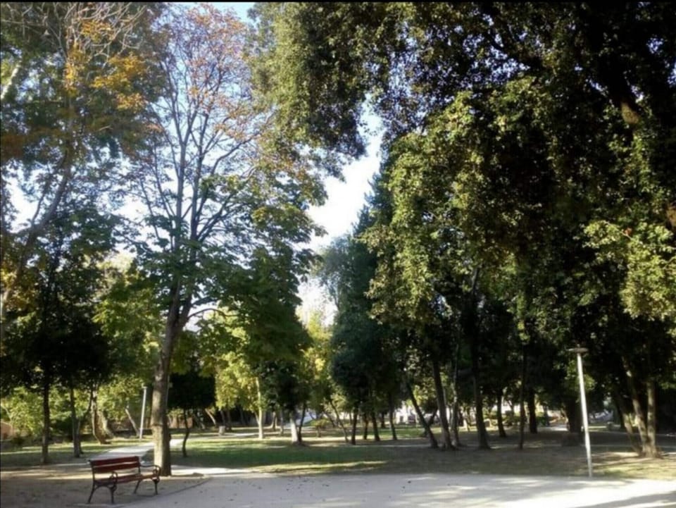 Area