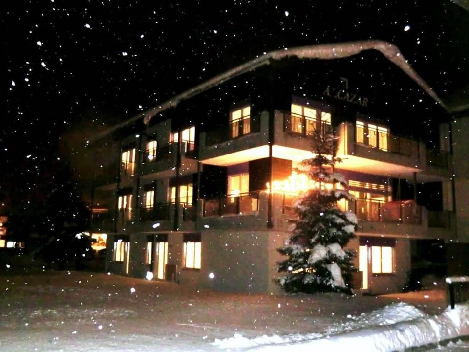 Property, Snow, Building, Window, House, Plant, Tree, Woody Plant, Residential Area