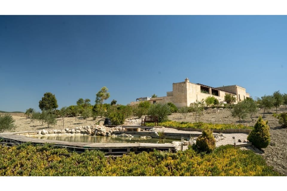 8.4 acre estate