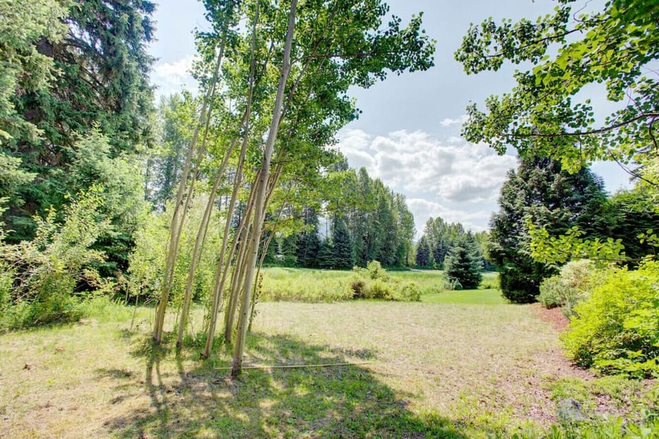 Huge backyard for you to enjoy! `The area the house is located in is green, beautiful and quiet.`-Mark