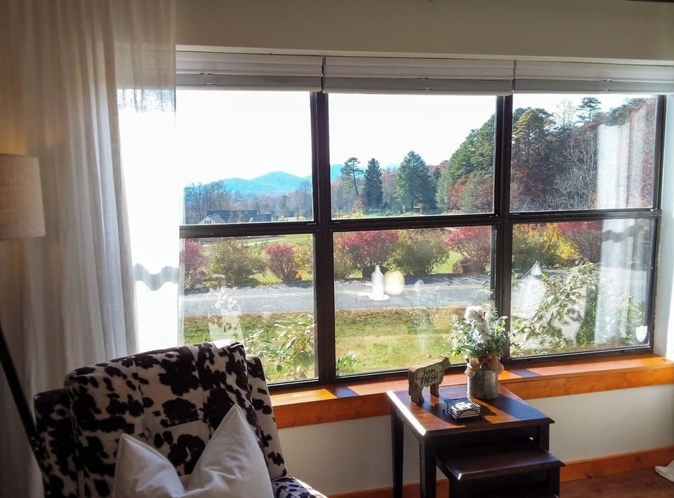 Not ready to be outside. Start the day with coffee and these lovely views. 
