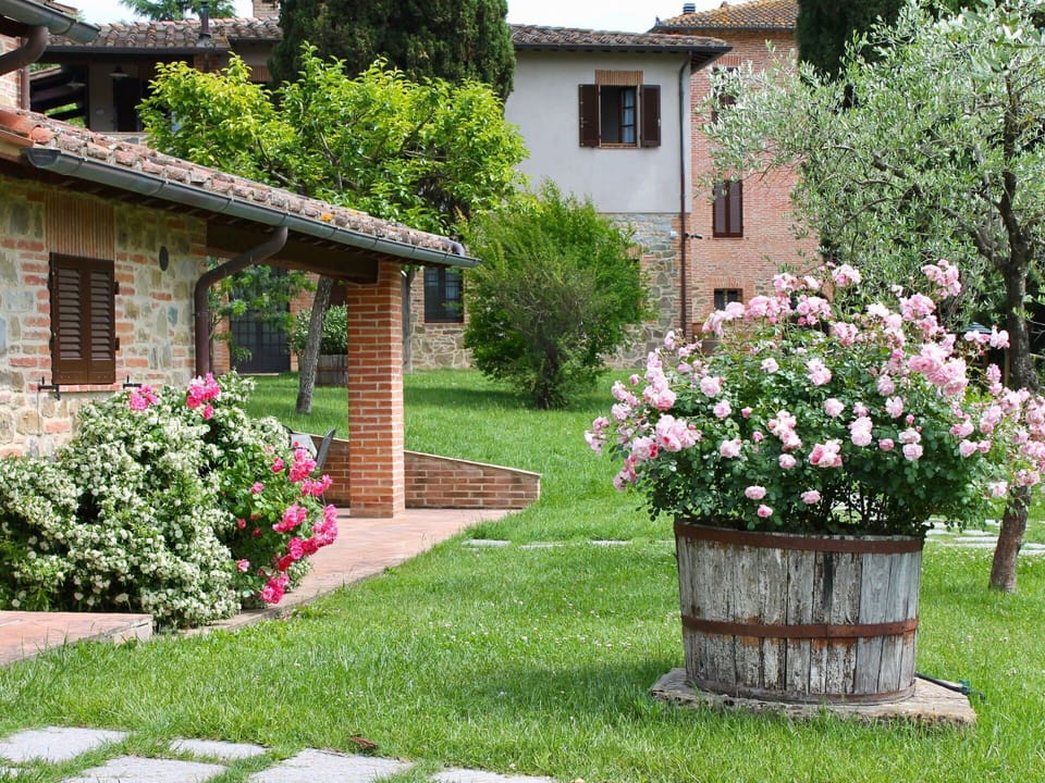 Garden, Yard, Property, House, Flower, Lawn, Grass, Home, Plant, Backyard