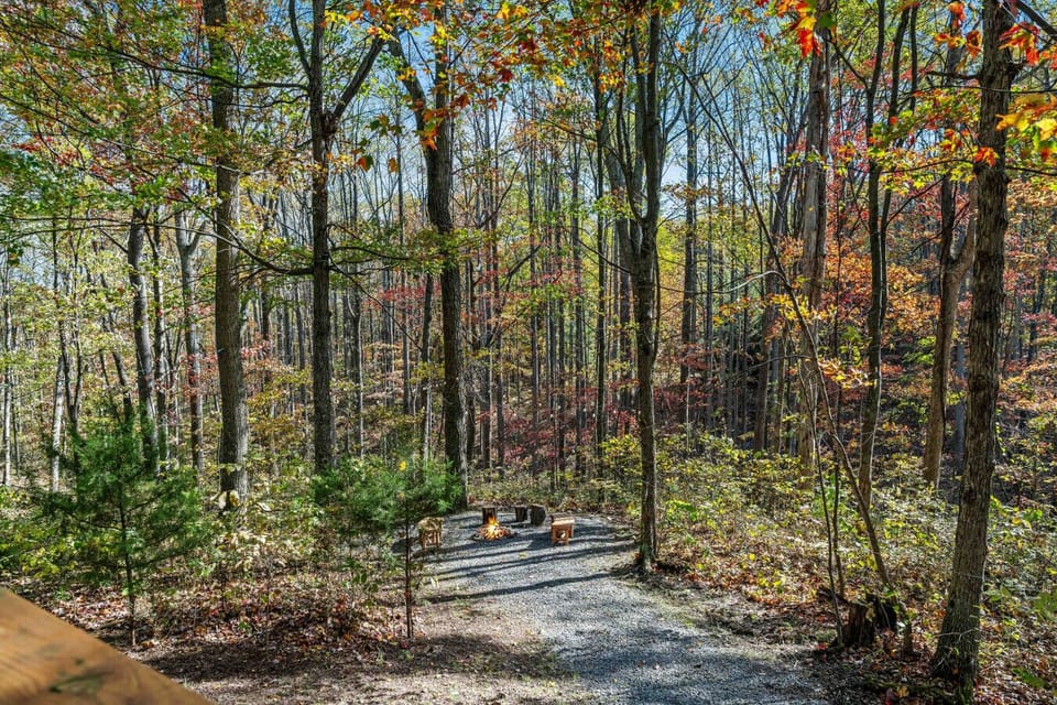 Path leading to the fire pit area